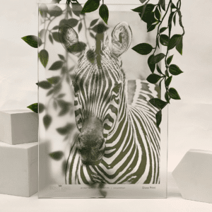 Glass Printing