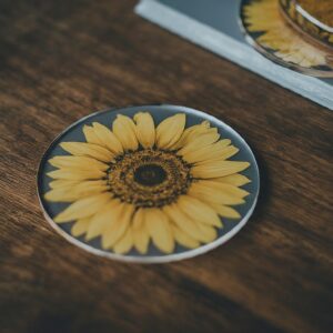 imagy-image (2)